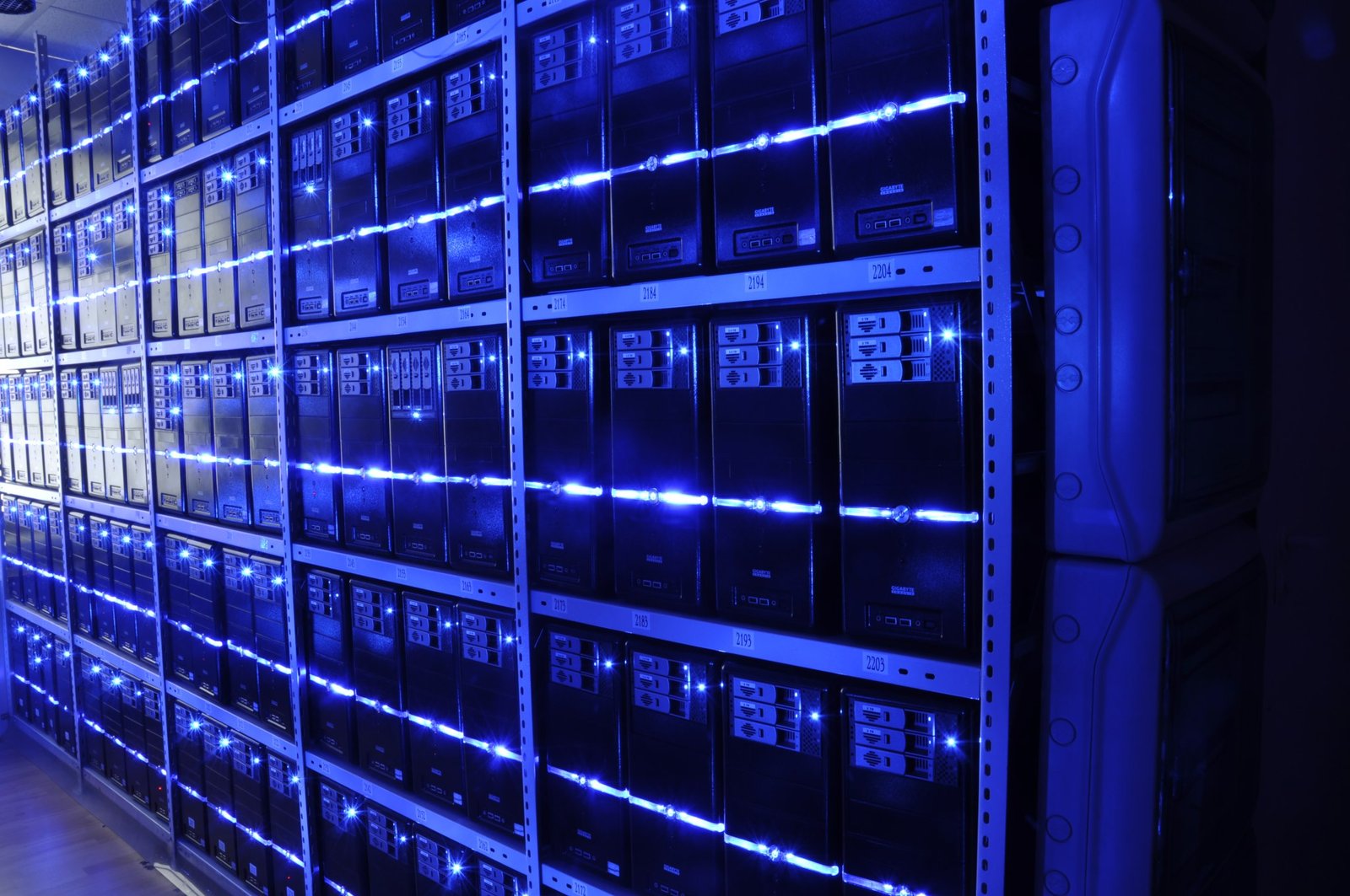 Rows of rack-mounted servers in a data center, the machinery that answers automated requests as readily as human ones