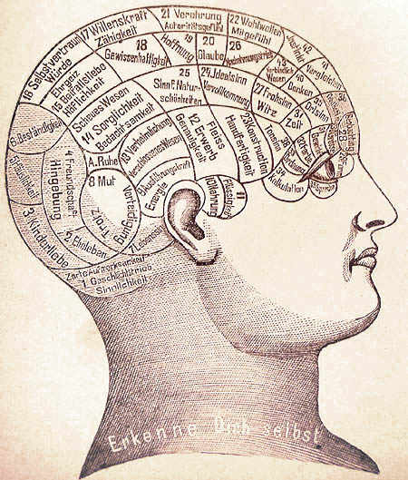A 19th-century phrenological chart mapping the human skull into numbered regions said to govern separate faculties of character
